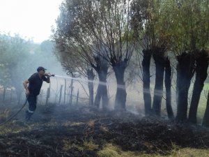 Bingöl’de anız yangını ağaçlara sıçradı