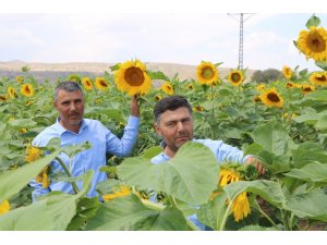 Çin Türkiye’yi çekirdek ile vurdu