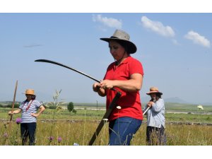 Kadınların "tırpan" mesaisi