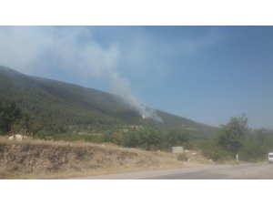 Denizli’de orman yangını büyümeden kontrol altına alındı