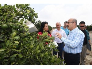 Vali Demirtaş: "Akdeniz meyve sineğine karşı tüm tedbirleri aldık"