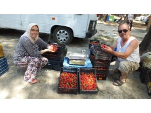 Kazdağı çileği üreticileri sevindirdi