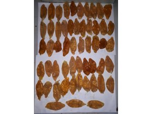 Atatürk Havalimanı'nda uyuşturucu operasyonu