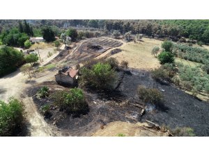 Antalya'daki orman yangınında zarar gören alan havadan görüntülendi