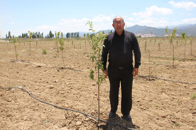 Öğrenciler kıraç araziyi meyve bahçesine dönüştürdü