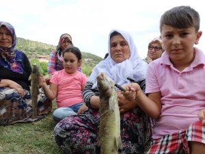 Domaniç’teki balık ölümlerine vatandaşlardan tepki