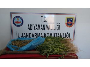 Jandarma uyuşturucu madde ele geçirdi