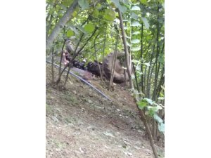 Hendek’te traktör kazası : 1 ölü