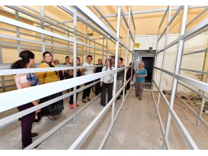 İstiridye mantarı yetiştiren kadınlar artık iş dünyasında