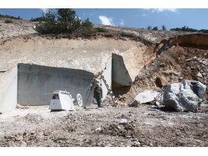 ’Zeytin dalı’nın Balkanlar’a ihracatı başladı