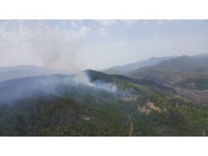 Kızılçam ormanındaki yangın kontrol altına alınmaya çalışılıyor