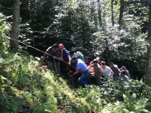 Rize'de dereye düşen kişi ağır yaralandı