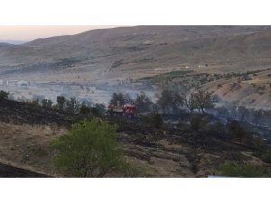 Keban'da otluk alanda çıkan yangında 100 dönüm arazi zarar gördü
