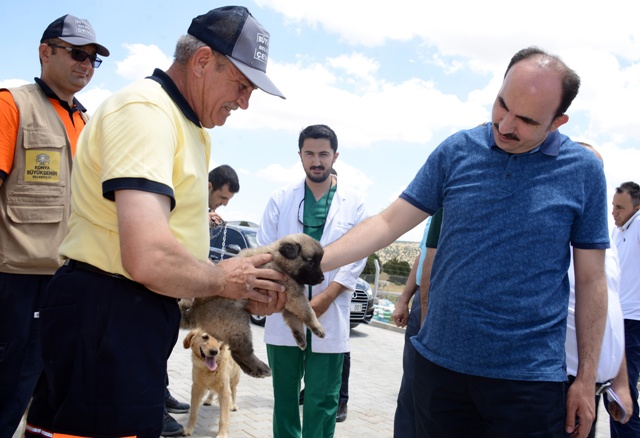 Büyükşehir’den Türkiye’ye Örnek: Gönüllü Hayvan Dostları Projesi