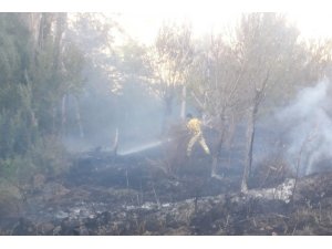Keban’da yangın, yaklaşık 150 dönüm arazi zarar gördü