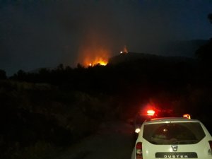 Hatay’daki orman yangını kontrol altına alındı