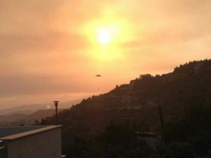 Hatay’daki orman yangınında soğutma çalışmaları sürüyor