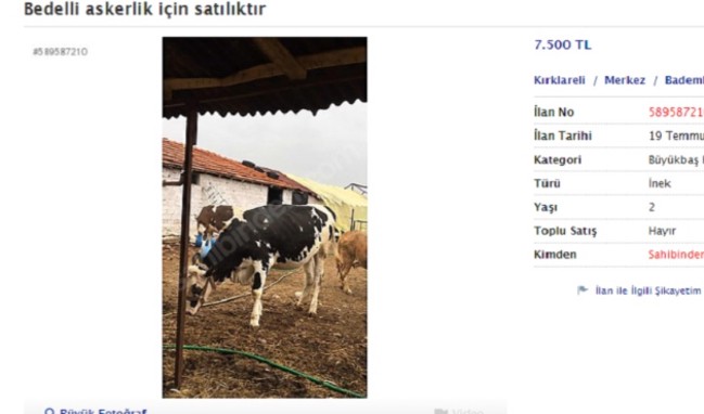 Bedelli askerlik için satılık inek, at, traktör!