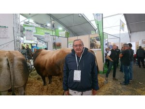 Karacabey’de kurbanlık fiyatları belli oldu