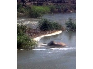 Hatay’da kimliği belirsiz erkek cesedi bulundu