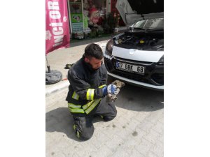İtfaiye’den kedi kurtarma operasyonu