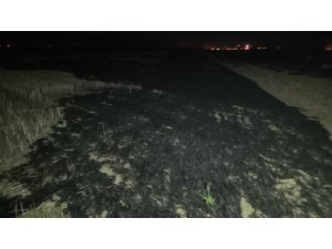 Kırıkkale’deki yangın söndürüldü