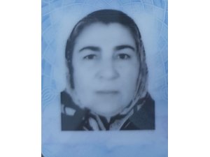 Bursa’da keçi otlatırken yıldırım çarpan kadın hayatını kaybetti