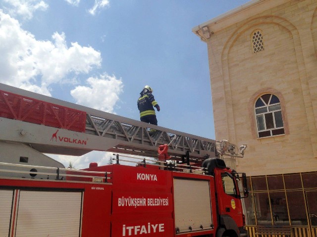 Yuvadan düşen yavru leylek kurtarıldı