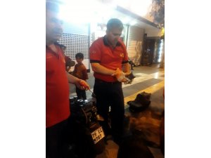 Kilis’te kedi kurtarma operasyonu
