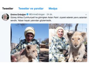 Emine Erdoğan yavru aslanları sevdi