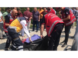 Sakarya'daki trafik kazası