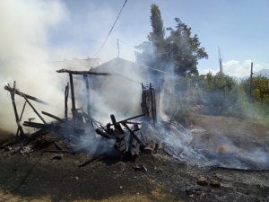 Alevlerin arasında kalan hayvanlar için seferber oldular