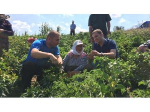 Balıkesir’de çiftçi sayısı azalıyor