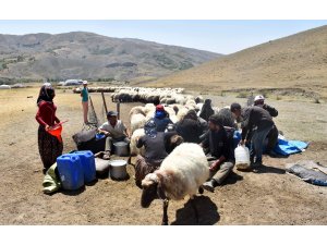 Göçerlerin tercihi Muş yaylası