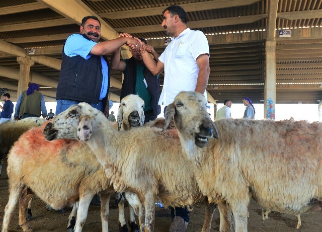 Konya’da kurbanlık sıkıntısı yok
