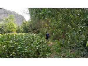 Kaybolan genç için arama çalışmaları başlatıldı