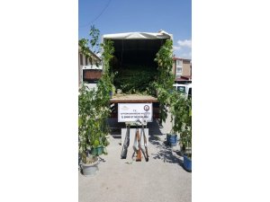 Polisten uyuşturucu operasyonu
