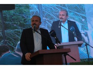 Tekirdağ'daki tren kazası