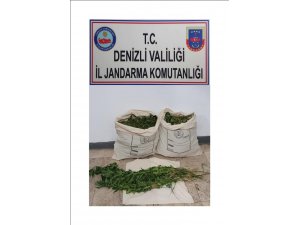 Denizli’de jandarmadan esrar operasyonu