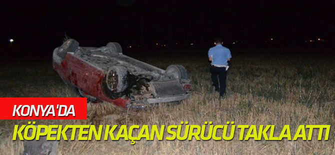 Köpekten kaçan sürücü otomobille takla attı: 2 yaralı