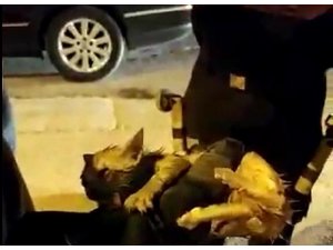 Sürücü fark etti itfaiye kurtardı