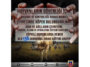 Jandarma’dan hayvan hırsızlığına karşı uyarı