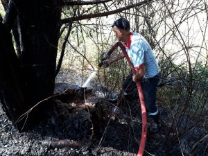 Otluk yangını ağaçlara zarar verdi
