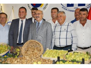 Aydın’da sezonun ilk kuru inciri borsaya teslim edildi
