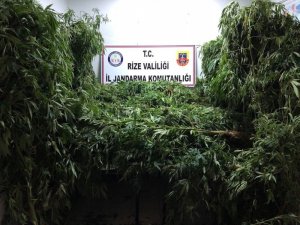 Rize’de jandarma operasyonu