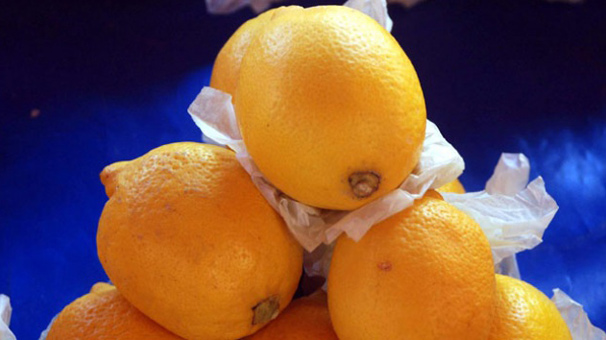 Temmuz ayının zam şampiyonu limon oldu