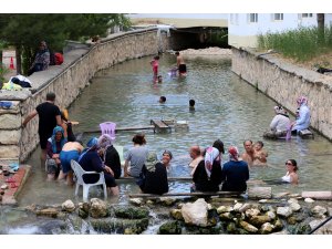 "Doktor balıklar"dan son 5 yılın en yoğun mesaisi