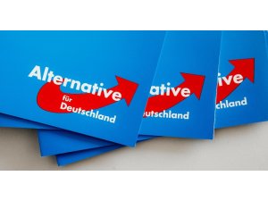 Almanya’da ırkçı parti AfD rekor kırdı