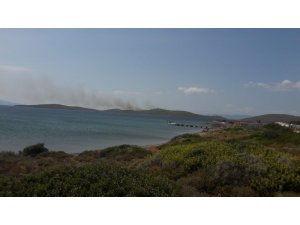 Ayvalık Maden adasında orman yangını