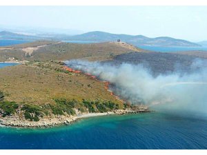 Ayvalık Maden adasında orman yangını kontrol altına alındı